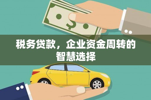 成武税务贷款，企业资金周转的智慧选择