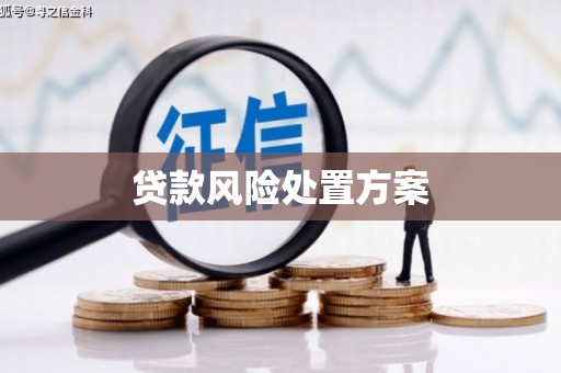 成武贷款风险处置方案