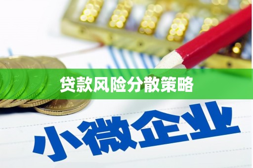 成武贷款风险分散策略