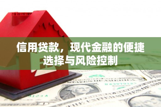 成武信用贷款，现代金融的便捷选择与风险控制