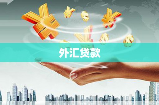 成武外汇贷款