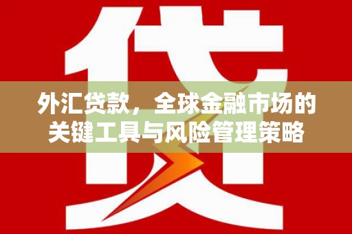 成武外汇贷款，全球金融市场的关键工具与风险管理策略
