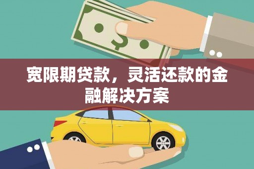 成武宽限期贷款，灵活还款的金融解决方案