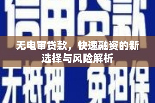 成武无电审贷款，快速融资的新选择与风险解析