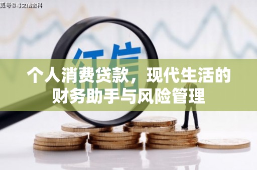 成武个人消费贷款，现代生活的财务助手与风险管理