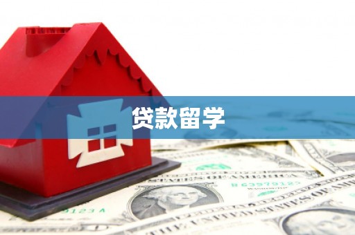 成武贷款留学