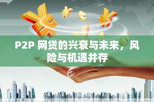 成武P2P 网贷的兴衰与未来，风险与机遇并存