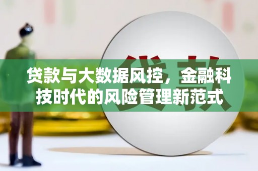 成武贷款与大数据风控，金融科技时代的风险管理新范式