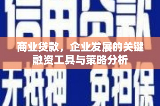 成武商业贷款，企业发展的关键融资工具与策略分析