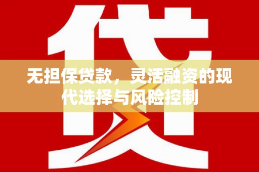 成武无担保贷款，灵活融资的现代选择与风险控制