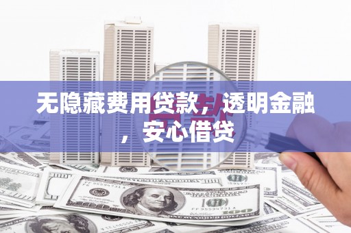 成武无隐藏费用贷款，透明金融，安心借贷