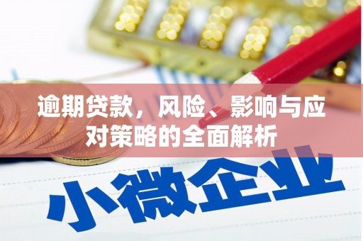 成武逾期贷款，风险、影响与应对策略的全面解析