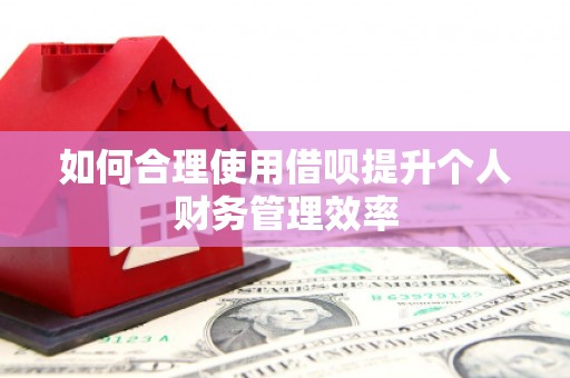 成武如何合理使用借呗提升个人财务管理效率
