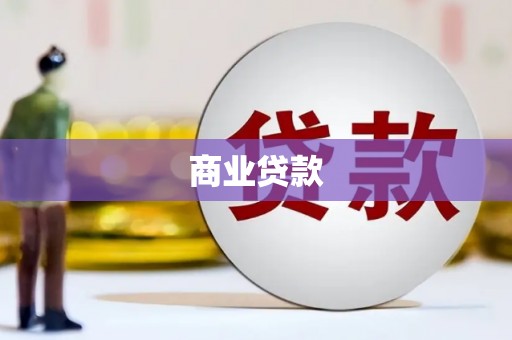 成武商业贷款