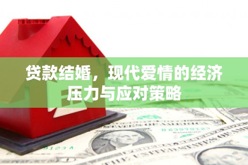 成武贷款结婚，现代爱情的经济压力与应对策略