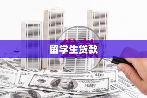 成武留学生贷款