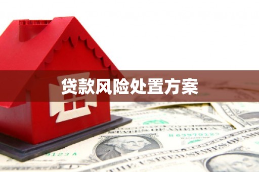 成武贷款风险处置方案