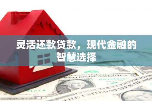 成武灵活还款贷款，现代金融的智慧选择