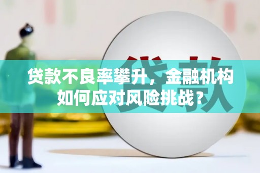 成武贷款不良率攀升，金融机构如何应对风险挑战？