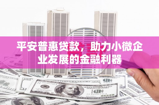 成武平安普惠贷款，助力小微企业发展的金融利器