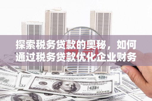成武探索税务贷款的奥秘，如何通过税务贷款优化企业财务