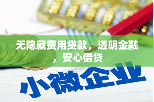 成武无隐藏费用贷款，透明金融，安心借贷