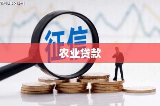 成武农业贷款