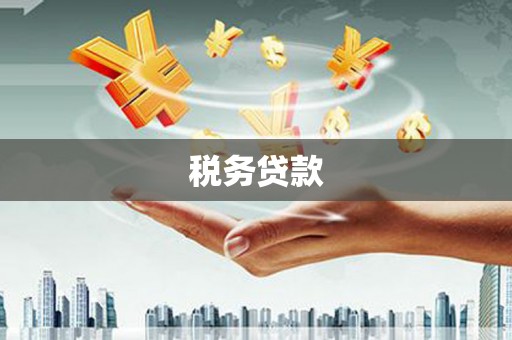 成武税务贷款