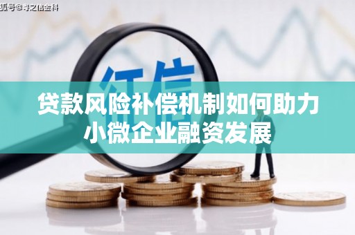 成武贷款风险补偿机制如何助力小微企业融资发展