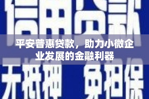 成武平安普惠贷款，助力小微企业发展的金融利器