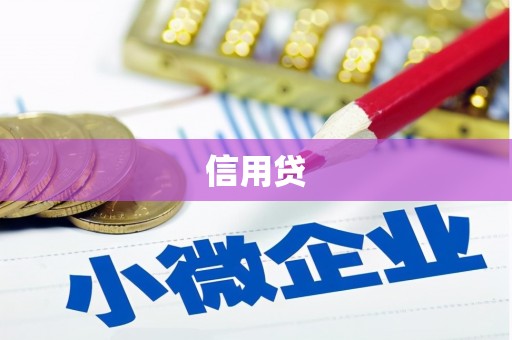 成武信用贷