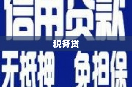 成武税务贷