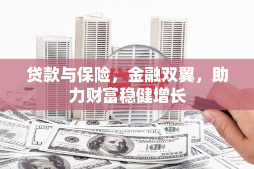 成武贷款与保险，金融双翼，助力财富稳健增长