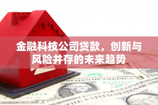 成武金融科技公司贷款，创新与风险并存的未来趋势