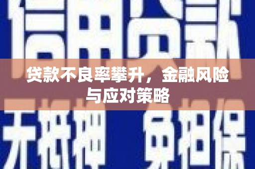 成武贷款不良率攀升，金融风险与应对策略