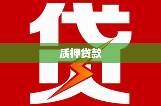 成武质押贷款