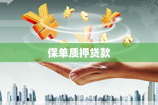 成武保单质押贷款