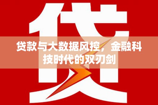 成武贷款与大数据风控，金融科技时代的双刃剑