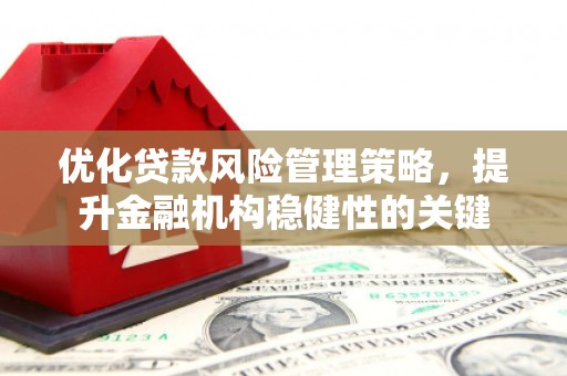 成武优化贷款风险管理策略，提升金融机构稳健性的关键
