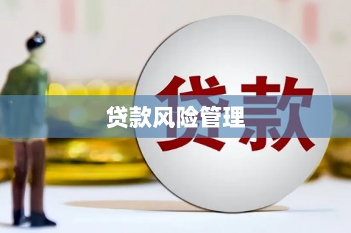 成武贷款风险管理