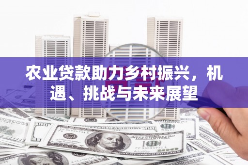 成武农业贷款助力乡村振兴，机遇、挑战与未来展望