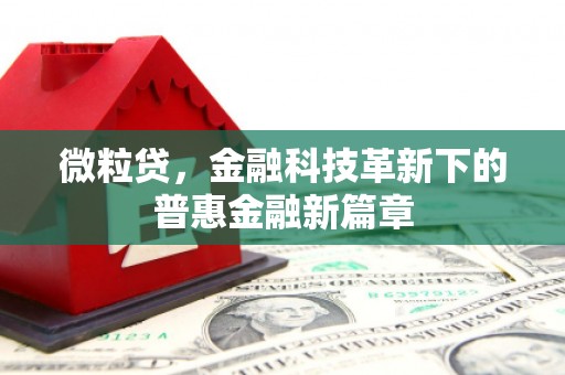 成武微粒贷，金融科技革新下的普惠金融新篇章