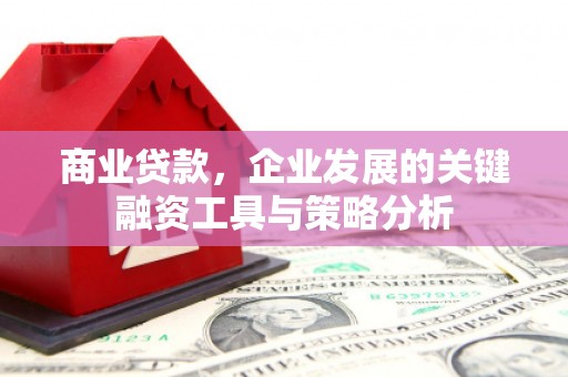成武商业贷款，企业发展的关键融资工具与策略分析