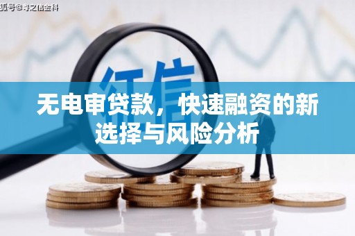 成武无电审贷款，快速融资的新选择与风险分析
