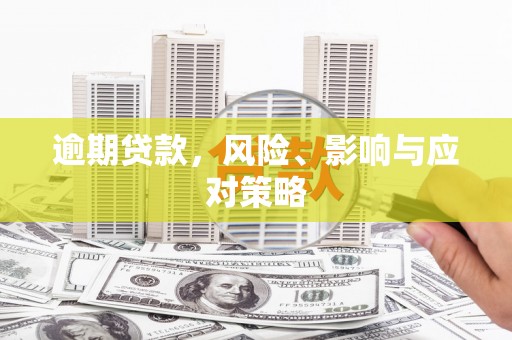 成武逾期贷款，风险、影响与应对策略