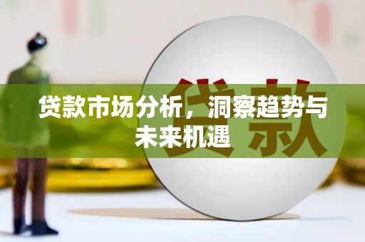 成武贷款市场分析，洞察趋势与未来机遇