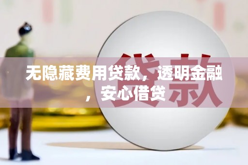 成武无隐藏费用贷款，透明金融，安心借贷