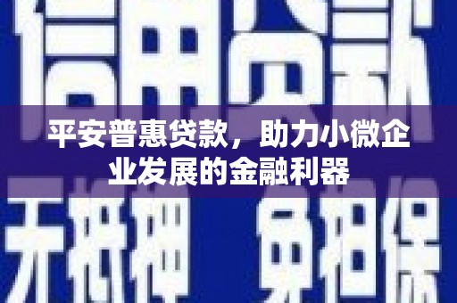 成武平安普惠贷款，助力小微企业发展的金融利器