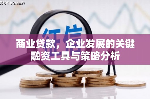 成武商业贷款，企业发展的关键融资工具与策略分析