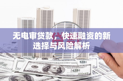 成武无电审贷款，快速融资的新选择与风险解析